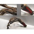 Auspuff-Krmmeranlage<br>Zustand: Gebraucht mit Mangel<br><br>Verwendbar fr: Suzuki GSX 600 F, Typ: AJ, Modelljahr: von 01/1998 bis 12/2002